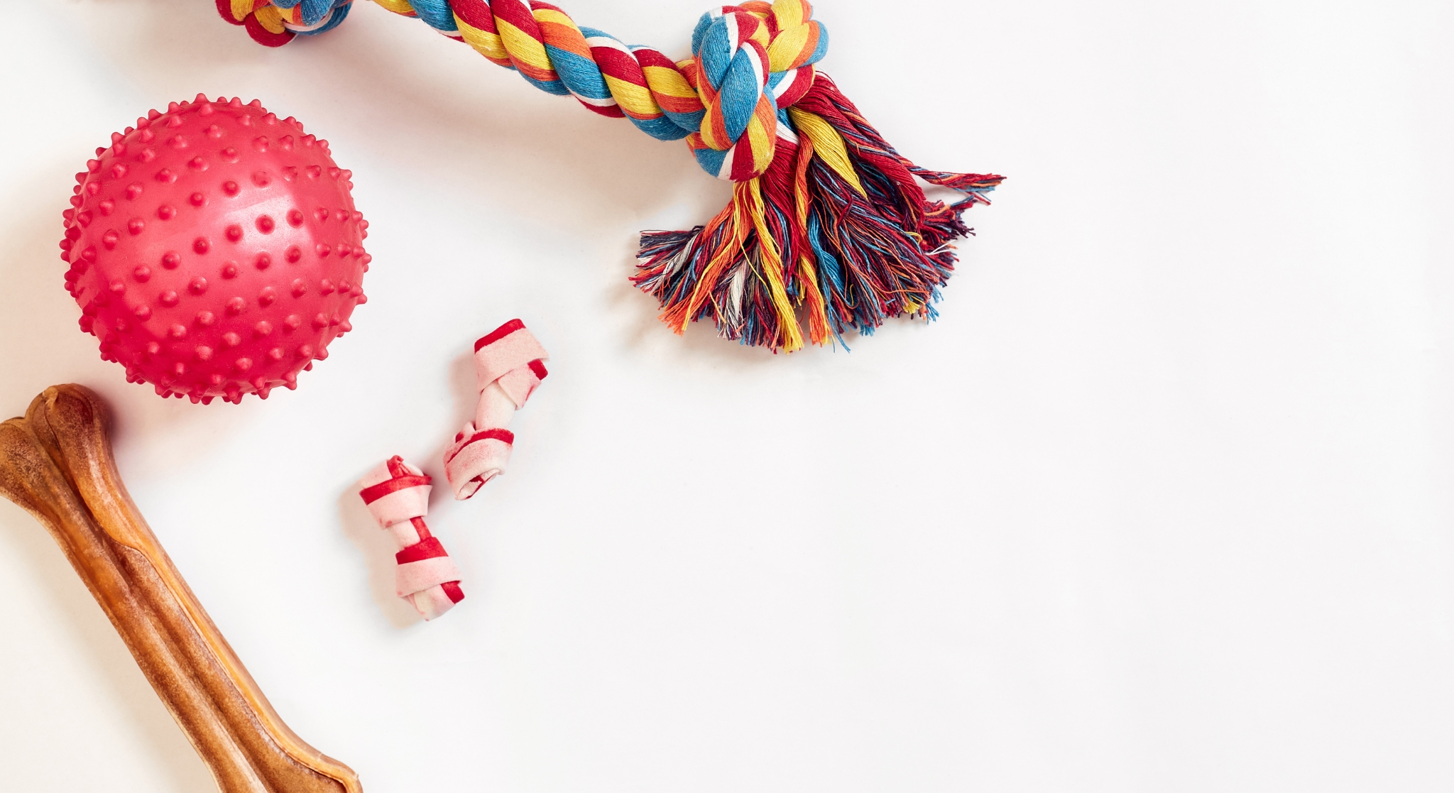 Productos para cachorros