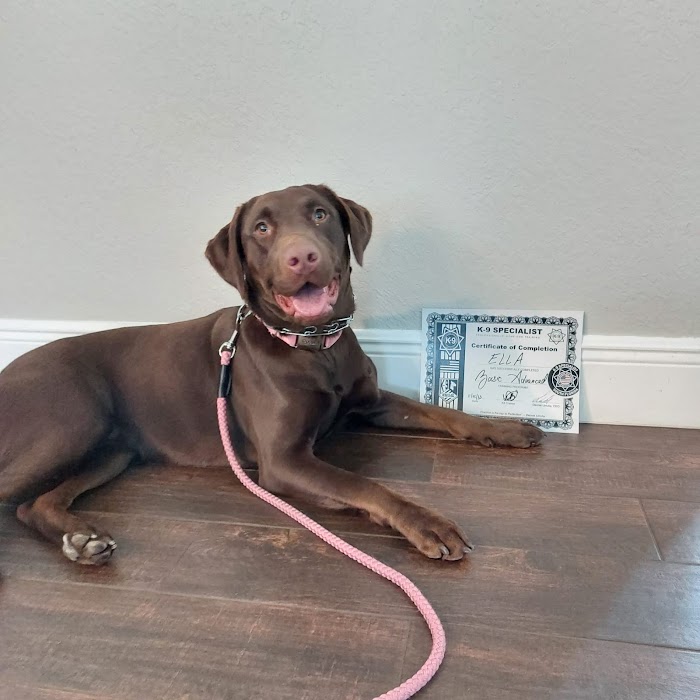 Un perro mostrando su certificado de entrenamiento.