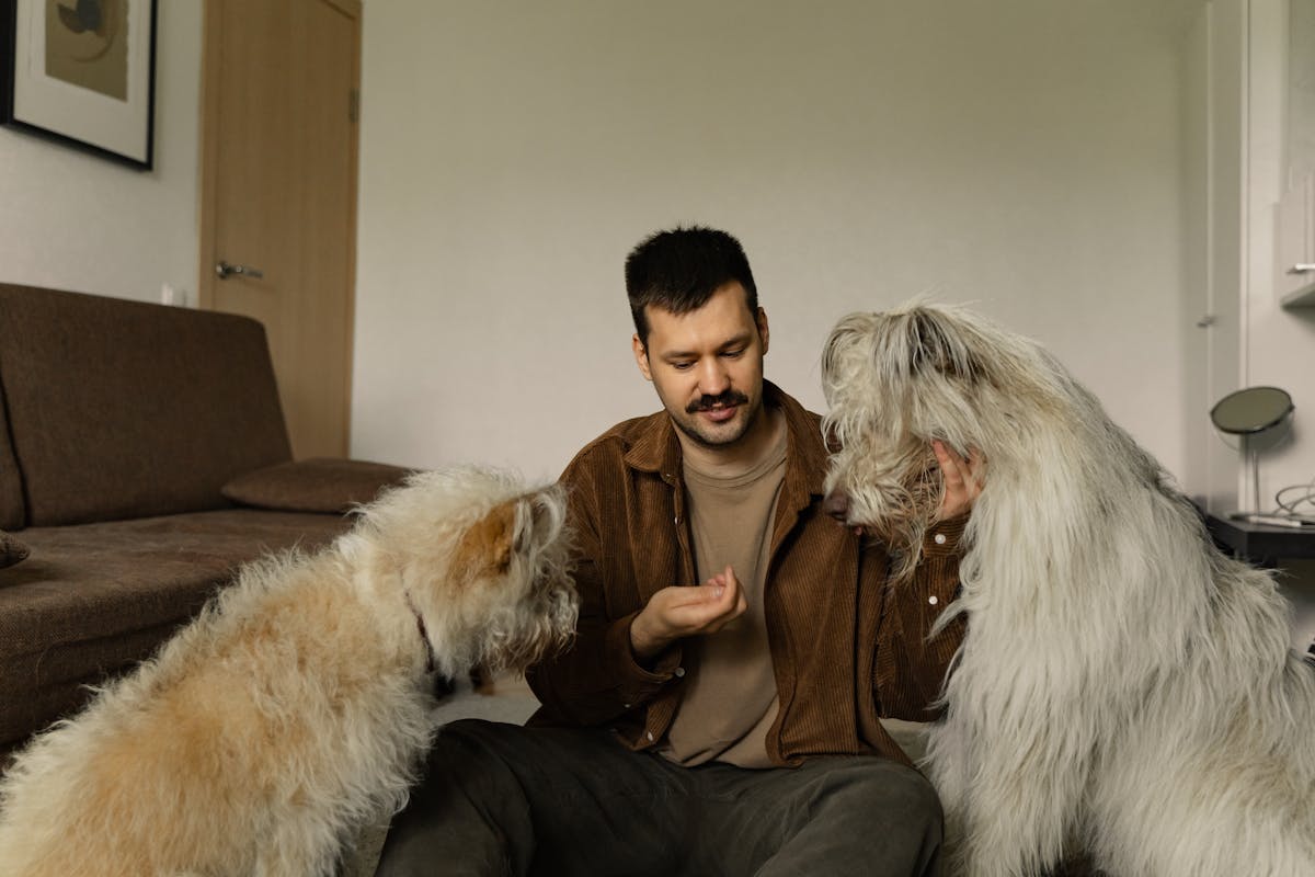 Hombre con sus dos perros