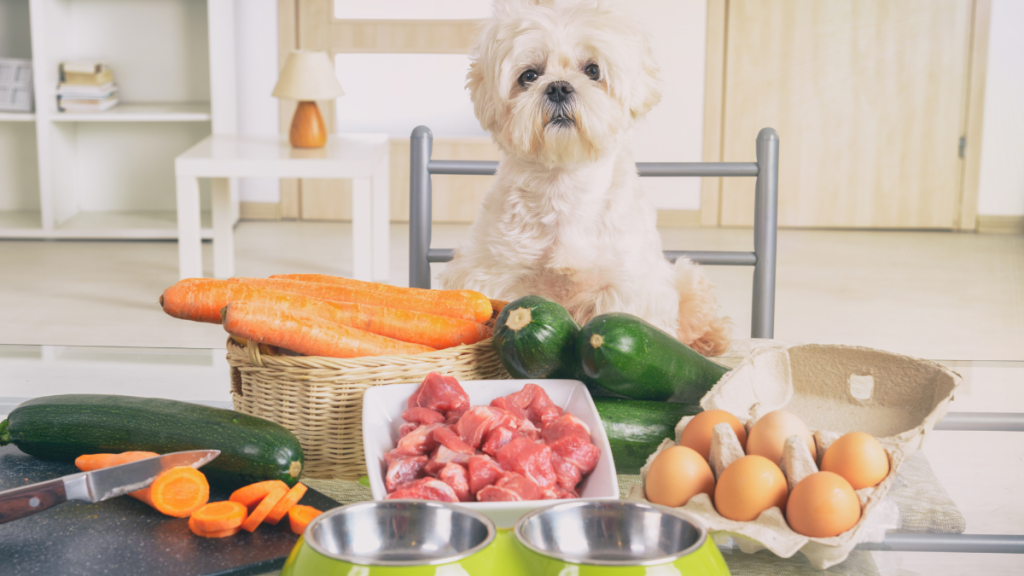 Comida casera para perros